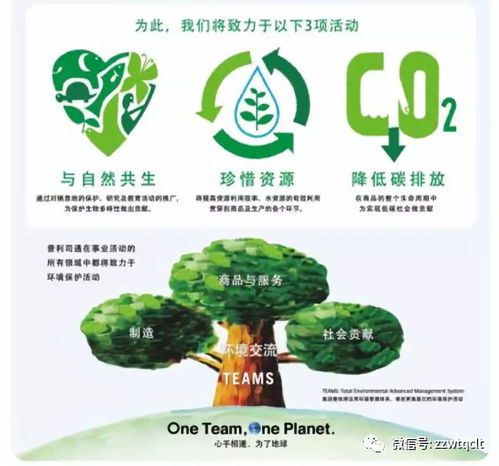 促夏季萬物華實,保護環境,大力發展節能環保輪胎翻新事業