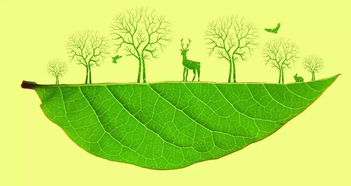 環(huán)保追責(zé) 黨政同責(zé)的時代擔(dān)當