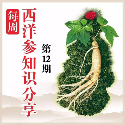 樂陶陶西洋參小知識(shí)每日分享(周五合集12) 探索黑參產(chǎn)品的奧秘