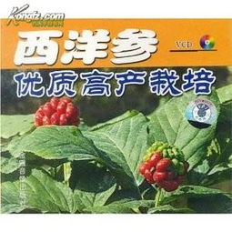 浙江西洋參種植技術與黑參產(chǎn)品開發(fā)